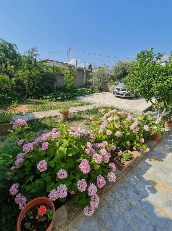 Villa Deart Berat Exterior foto